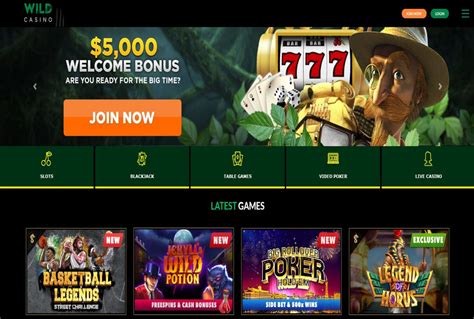 wild casino app review